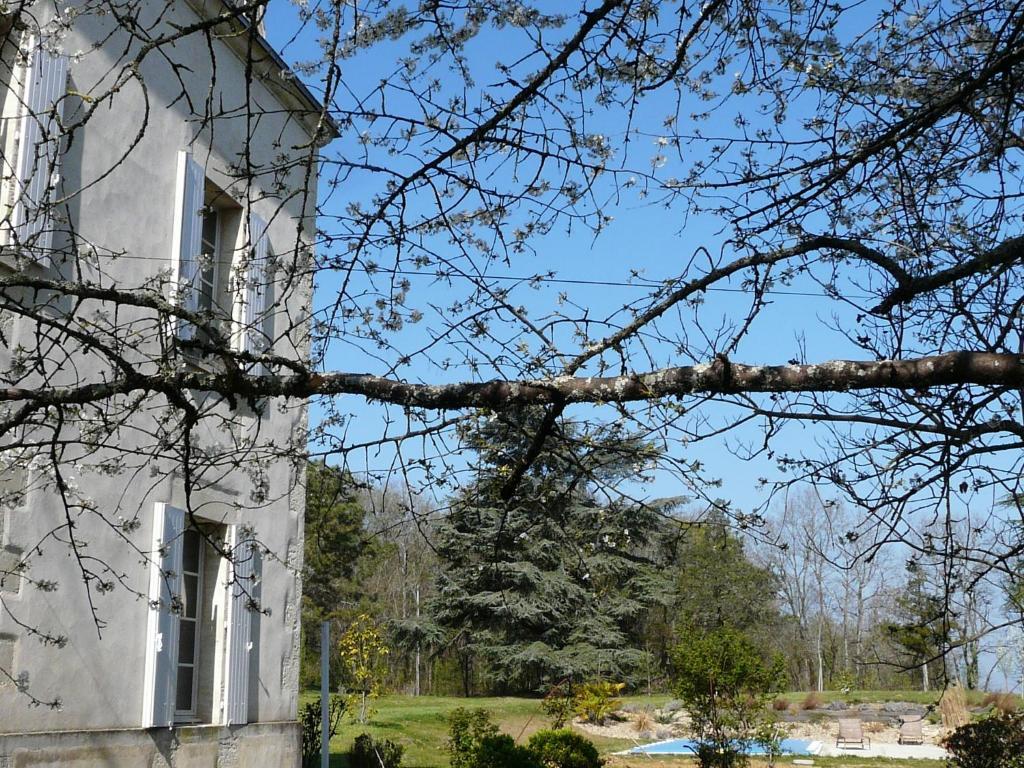 Вилла Chateau De La Comtesse Saint-Martin-Petit Экстерьер фото